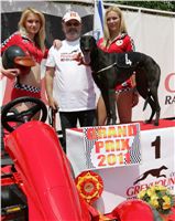 chrti_dostihy_Grand_Prix_2011_Czech_Greyhound_Racing_Federation_0042_NQ1M0593.JPG