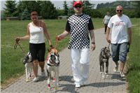 chrti_dostihy_Grand_Prix_2011_Czech_Greyhound_Racing_Federation_0044_NQ1M0624.JPG