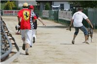 chrti_dostihy_Grand_Prix_2011_Czech_Greyhound_Racing_Federation_0068_NQ1M0669.JPG