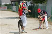 chrti_dostihy_Grand_Prix_2011_Czech_Greyhound_Racing_Federation_0069_NQ1M0688.JPG