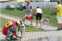 chrti_dostihy_Grand_Prix_2011_Czech_Greyhound_Racing_Federation_0071_NQ1M0697.JPG
