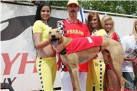 chrti_dostihy_Grand_Prix_2011_Czech_Greyhound_Racing_Federation_0074_NQ1M0718.JPG