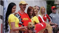 chrti_dostihy_Grand_Prix_2011_Czech_Greyhound_Racing_Federation_0076_DSC02690.JPG