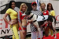 chrti_dostihy_Grand_Prix_2011_Czech_Greyhound_Racing_Federation_0082_NQ1M0751.JPG