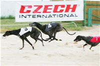 chrti_dostihy_Grand_Prix_2011_Czech_Greyhound_Racing_Federation_0091c_NQ1M0828.JPG