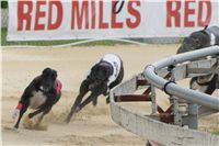 chrti_dostihy_Grand_Prix_2011_Czech_Greyhound_Racing_Federation_0091d_DSC02769.JPG