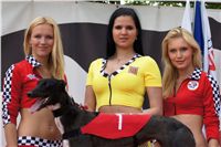 chrti_dostihy_Grand_Prix_2011_Czech_Greyhound_Racing_Federation_0108_DSC02799_u_d_2.jpg