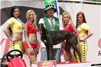 chrti_dostihy_Grand_Prix_2011_Czech_Greyhound_Racing_Federation_0114_NQ1M0813.JPG