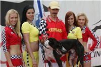 chrti_dostihy_Grand_Prix_2011_Czech_Greyhound_Racing_Federation_0116_NQ1M8547.JPG
