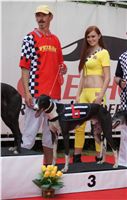 chrti_dostihy_Grand_Prix_2011_Czech_Greyhound_Racing_Federation_0117_DSC02813.JPG