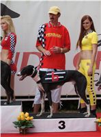chrti_dostihy_Grand_Prix_2011_Czech_Greyhound_Racing_Federation_0118_DSC02795.JPG