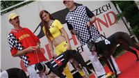 chrti_dostihy_Grand_Prix_2011_Czech_Greyhound_Racing_Federation_0119_DSC02805.JPG