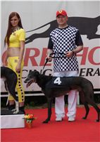 chrti_dostihy_Grand_Prix_2011_Czech_Greyhound_Racing_Federation_0120_DSC02793.JPG
