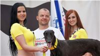 chrti_dostihy_Grand_Prix_2011_Czech_Greyhound_Racing_Federation_0128_DSC02855.JPG