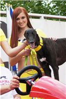 chrti_dostihy_Grand_Prix_2011_Czech_Greyhound_Racing_Federation_0139_DSC02918.JPG