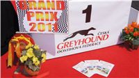 chrti_dostihy_Grand_Prix_2011_Czech_Greyhound_Racing_Federation_0163_DSC02374.JPG
