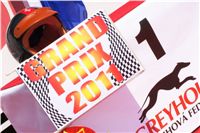 chrti_dostihy_Grand_Prix_2011_Czech_Greyhound_Racing_Federation_DSC02394.JPG