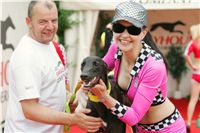 chrti_dostihy_Grand_Prix_2011_Czech_Greyhound_Racing_Federation_NQ1M8695.JPG