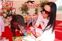 Red_Mill_Cup_07_Ceska_greyhound_dostihova_federace_DSC01932.JPG