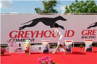 Red_Mill_Cup_07_Ceska_greyhound_dostihova_federace_DSC01943.JPG