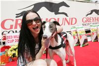 Red_Mill_Cup_08_Ceska_greyhound_dostihova_federace_NQ1M5288.JPG