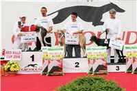 Red_Mill_Cup_08_Ceska_greyhound_dostihova_federace_NQ1M5364.JPG