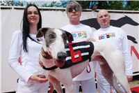 Red_Mill_Cup_09_Ceska_greyhound_dostihova_federace_DSC02366.JPG