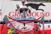 Red_Mill_Cup_09_Ceska_greyhound_dostihova_federace_DSC02397.JPG