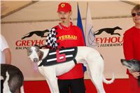 Red_Mill_Cup_10_Ceska_greyhound_dostihova_federace_DSC05399.JPG