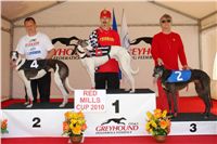 Red_Mill_Cup_10_Ceska_greyhound_dostihova_federace_DSC05407.JPG