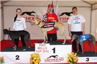 Red_Mill_Cup_10_Ceska_greyhound_dostihova_federace_DSC05417.JPG