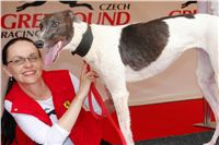 Red_Mill_Cup_10_Ceska_greyhound_dostihova_federace_DSC05433.JPG