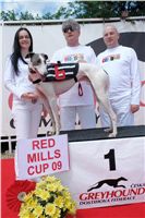 winner_Red_Mills_Cup_chrt_White_Elbony_Ceska_greyhound_dostihova_federace_DSC02361.JPG
