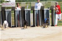 chrti_dostihy_Grand_Prix_2011_Czech_Greyhound_Racing_Federation_0014_DSC02585.JPG