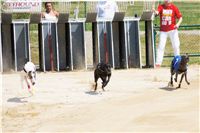 chrti_dostihy_Grand_Prix_2011_Czech_Greyhound_Racing_Federation_0015_DSC02590.JPG