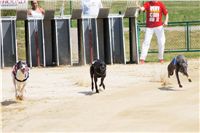 chrti_dostihy_Grand_Prix_2011_Czech_Greyhound_Racing_Federation_0016_DSC02591.JPG