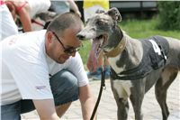 chrti_dostihy_Grand_Prix_2011_Czech_Greyhound_Racing_Federation_0070_NQ1M0693.JPG