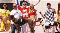 chrti_dostihy_Grand_Prix_2011_Czech_Greyhound_Racing_Federation_0081_DSC02679.JPG