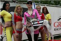 chrti_dostihy_Grand_Prix_2011_Czech_Greyhound_Racing_Federation_0085_NQ1M0783.JPG