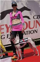 chrti_dostihy_Grand_Prix_2011_Czech_Greyhound_Racing_Federation_0087_DSC02687.JPG