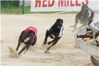 chrti_dostihy_Grand_Prix_2011_Czech_Greyhound_Racing_Federation_0092_DSC02770.JPG