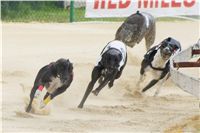 chrti_dostihy_Grand_Prix_2011_Czech_Greyhound_Racing_Federation_0093_DSC02771.JPG