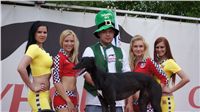 chrti_dostihy_Grand_Prix_2011_Czech_Greyhound_Racing_Federation_0112_DSC02730.JPG