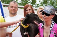 chrti_dostihy_Grand_Prix_2011_Czech_Greyhound_Racing_Federation_0134_DSC02887.JPG