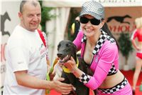 chrti_dostihy_Grand_Prix_2011_Czech_Greyhound_Racing_Federation_0157_NQ1M8695.JPG