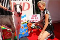 chrti_dostihy_Red_Mills_Cup_Czech_Greyhound_Racing_Federation_DSC00139.JPG