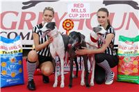 chrti_dostihy_Red_Mills_Cup_Czech_Greyhound_Racing_Federation_DSC00074.JPG