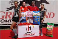 chrti_dostihy_Red_Mills_Cup_Czech_Greyhound_Racing_Federation_DSC00100.JPG