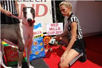 chrti_dostihy_Red_Mills_Cup_Czech_Greyhound_Racing_Federation_DSC00139.JPG