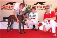 chrti_dostihy_Red_Mills_Cup_Czech_Greyhound_Racing_Federation_DSC00161.JPG